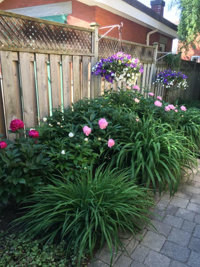 Cottage On Caledonia Bed & Breakfast Stratford Bagian luar foto